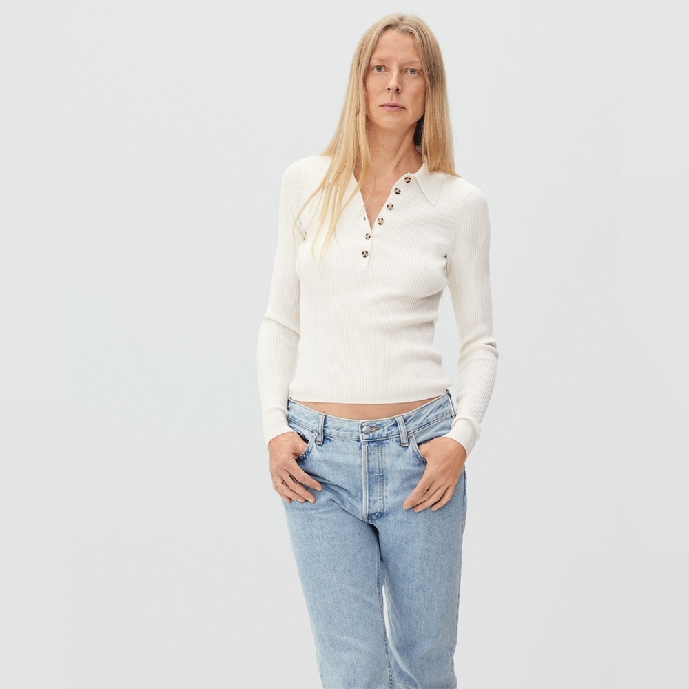 Everlane The Ultrafine Merino Ribbed Polo Sweater